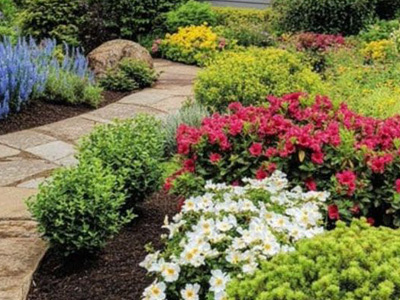 Low-Maintenance Plants