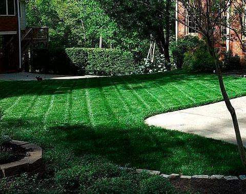 Landscaping
