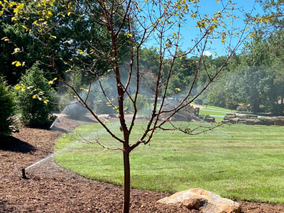 Irrigation, Greenville, SC