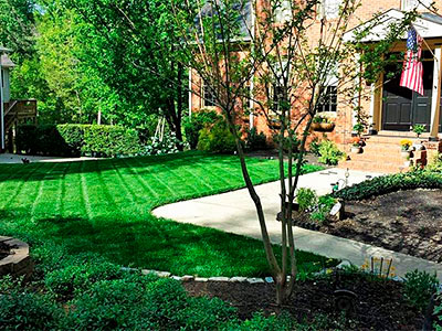 Landscape Contractor, Mauldin, SC