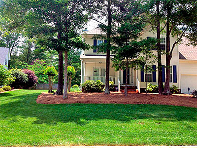 Landscape Design, Mauldin, SC