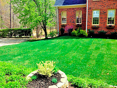 Landscape Designer, Greenville, SC