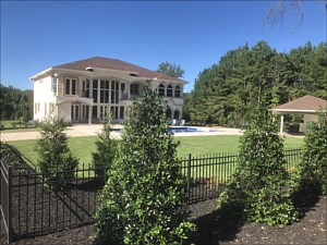 Plants & Trees, Greenville, SC Plants & Trees, Greenville, SC