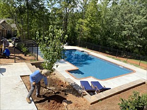 Plants, Trees, Five Forks, SC