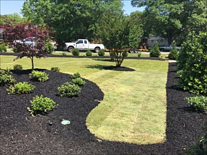 Landscape Design, Mauldin, SC