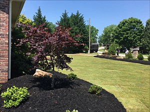 Landscape Installations, Greenville, SC Landscape Installations, Greenville, SC