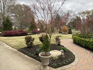 Trees, Plants, Simpsonville, SC