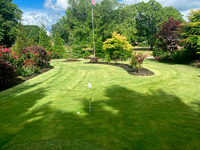 Sod Installations, Greenville, SC